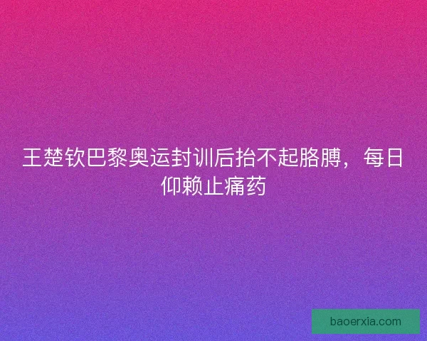 王楚钦巴黎奥运封训后抬不起胳膊,每日仰赖止痛药 王楚钦巴黎奥运封训后抬不起胳膊,每日仰赖止痛药
